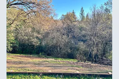 578 Greenwood Drive, Meadow Vista, CA 95722 - Photo 51
