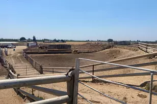 3555 Steinberg Rd, Atwater, CA 95301 - Photo 17