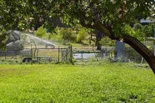 12156 Scott Grant Rd, Marysville, CA 95901 - Photo 69