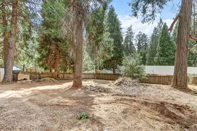 2936 Alder Dr, Camino, CA 95709 - Photo 61