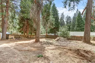2936 Alder Dr, Camino, CA 95709 - Photo 61