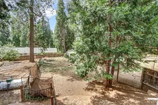 2936 Alder Dr, Camino, CA 95709 - Photo 23