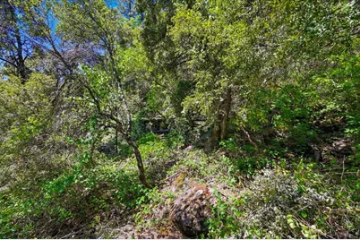 17468 Scopar Road, Grass Valley, CA 95949 - Photo 37