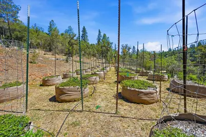 17468 Scopar Road, Grass Valley, CA 95949 - Photo 29