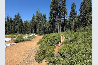 30457 N Bloomfield-Graniteville Road, Nevada City, CA 95959 - Photo 15