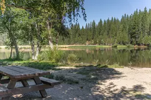 3035 Dalmatia Dr, Arnold, CA 95223 - Photo 51