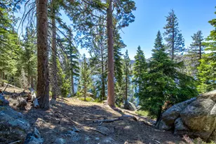 61011 Cedar Crest Ln, Lakeshore, CA 93634 - Photo 45