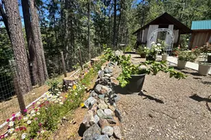 1800 Red Ciiff, Lakehead, CA 96051 - Photo 7
