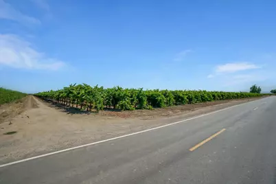 9255 E Handel Road, Lodi, CA 95240 - Photo 15