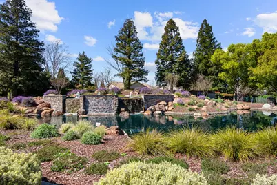 216 Navarretia Court, Roseville, CA 95747 - Photo 51