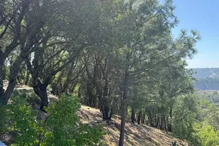 2418 Westville Trail, Cool, CA 95614 - Photo 39