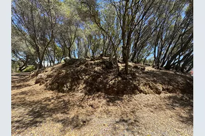 2418 Westville Trail, Cool, CA 95614 - Photo 83
