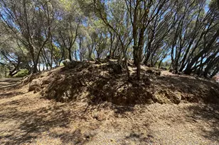 2418 Westville Trail, Cool, CA 95614 - Photo 83