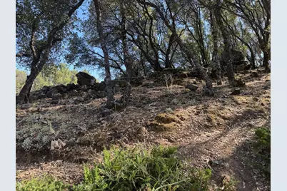 2418 Westville Trail, Cool, CA 95614 - Photo 65