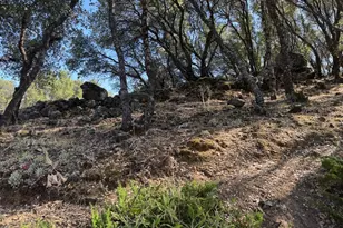 2418 Westville Trail, Cool, CA 95614 - Photo 57