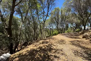 2418 Westville Trail, Cool, CA 95614 - Photo 81