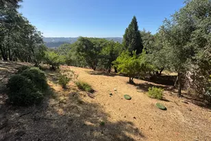2418 Westville Trail, Cool, CA 95614 - Photo 43