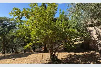 2418 Westville Trail, Cool, CA 95614 - Photo 55