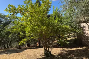 2418 Westville Trail, Cool, CA 95614 - Photo 55
