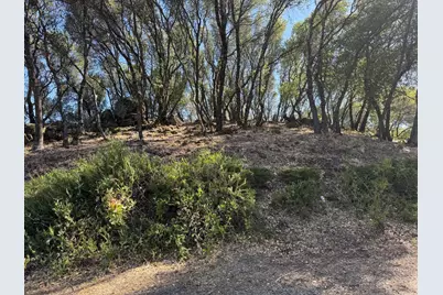 2418 Westville Trail, Cool, CA 95614 - Photo 67