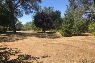 159 E Hillcrest Dr, Auburn, CA 95603 - Photo 11