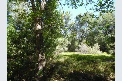 5301 Lone Star Road, Wilseyville, CA 95257 - Photo 21