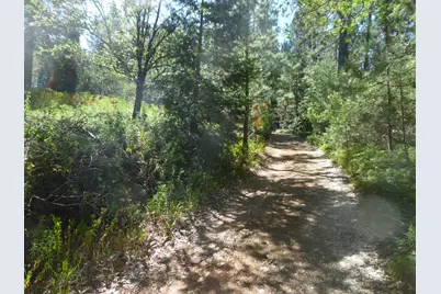 5301 Lone Star Road, Wilseyville, CA 95257 - Photo 11