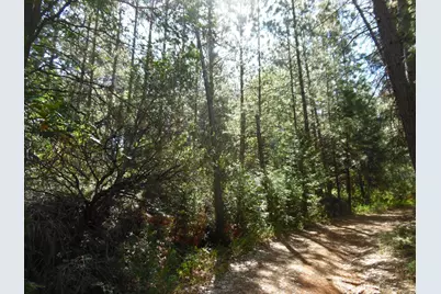 5301 Lone Star Road, Wilseyville, CA 95257 - Photo 15
