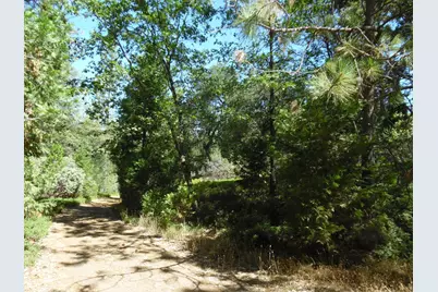 5301 Lone Star Road, Wilseyville, CA 95257 - Photo 19