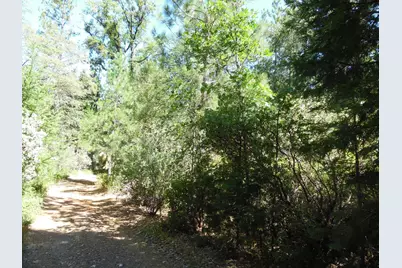 5301 Lone Star Road, Wilseyville, CA 95257 - Photo 23