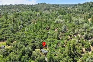 15335 Lake Arthur Rd, Auburn, CA 95602 - Photo 61