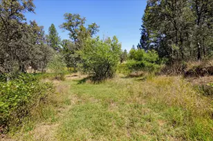 12816 Jones Bar Rd, Nevada City, CA 95959 - Photo 53