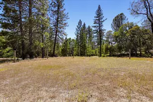 12816 Jones Bar Rd, Nevada City, CA 95959 - Photo 49