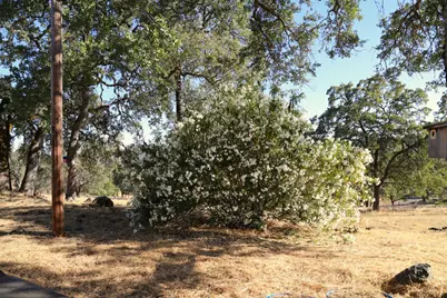 3791 Luneman Road, Placerville, CA 95667 - Photo 61