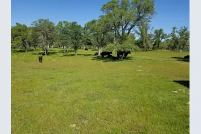12550 Hogan Dam, Farmington, CA 95230 - Photo 69