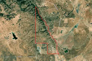 12550 Hogan Dam, Farmington, CA 95230 - Photo 65