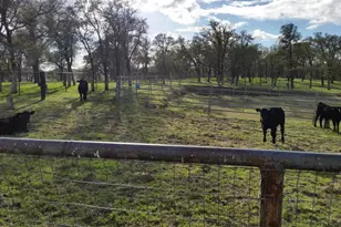 12550 Hogan Dam, Farmington, CA 95230 - Photo 75