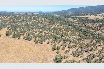 12550 Hogan Dam, Farmington, CA 95230 - Photo 49