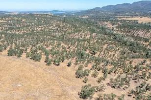 12550 Hogan Dam, Farmington, CA 95230 - Photo 49
