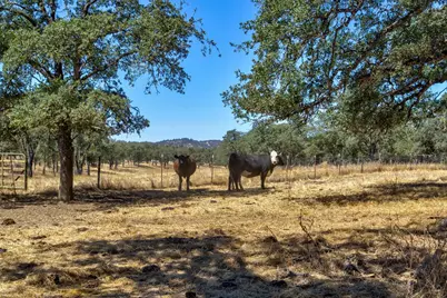 12550 Hogan Dam, Farmington, CA 95230 - Photo 59