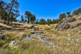 12550 Hogan Dam, Farmington, CA 95230 - Photo 57