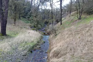 12550 Hogan Dam, Farmington, CA 95230 - Photo 73