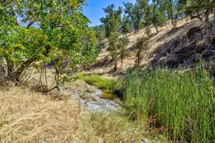 12550 Hogan Dam, Farmington, CA 95230 - Photo 55