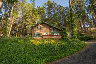 28020 Manzanita Trail, Colfax, CA 95713 - Photo 41