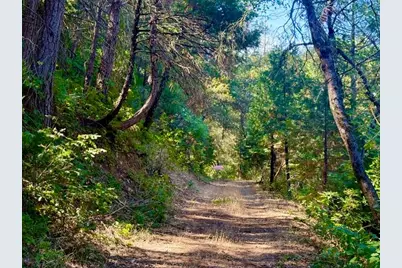 17500 Winding Oaks Road, Grass Valley, CA 95949 - Photo 53