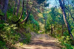 17500 Winding Oaks Rd, Grass Valley, CA 95949 - Photo 53
