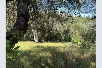 0 Sheep Ranch Rd., Sheep Ranch, CA 95246 - Photo 9