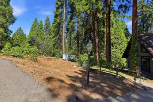 5311 Andrews Ln, Camino, CA 95709 - Photo 49
