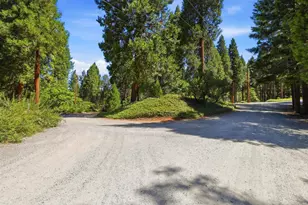 5311 Andrews Ln, Camino, CA 95709 - Photo 53