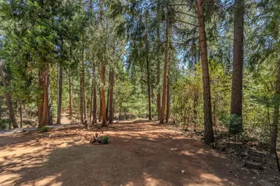 16845 S Silver Drive, Pioneer, CA 95666 - Photo 45